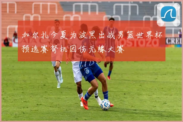 加尔扎今夏为波黑出战男篮世界杯预选赛弩机因伤无缘大赛